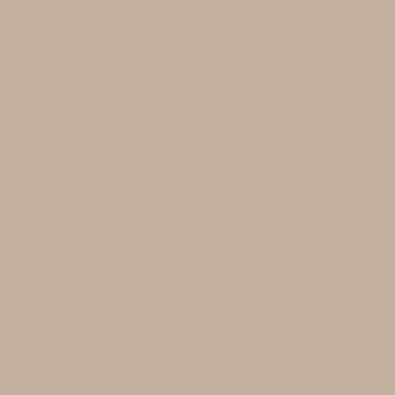 Earth Color Wall Paints/Coatings 3D Model