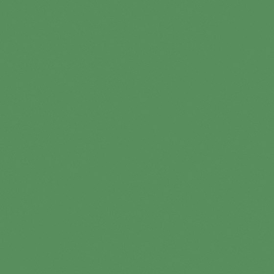 RAL6018 Epoxy Floor Coating by Nippon Paint in Green