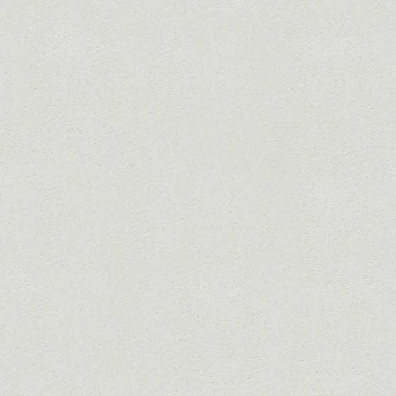 Wall paints/coatings