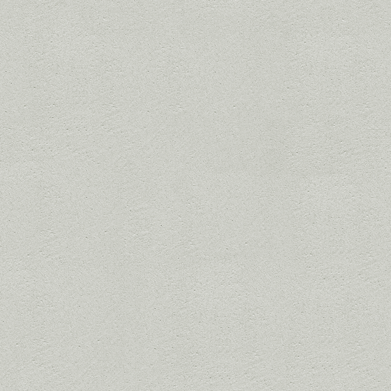 Wall paints/coatings