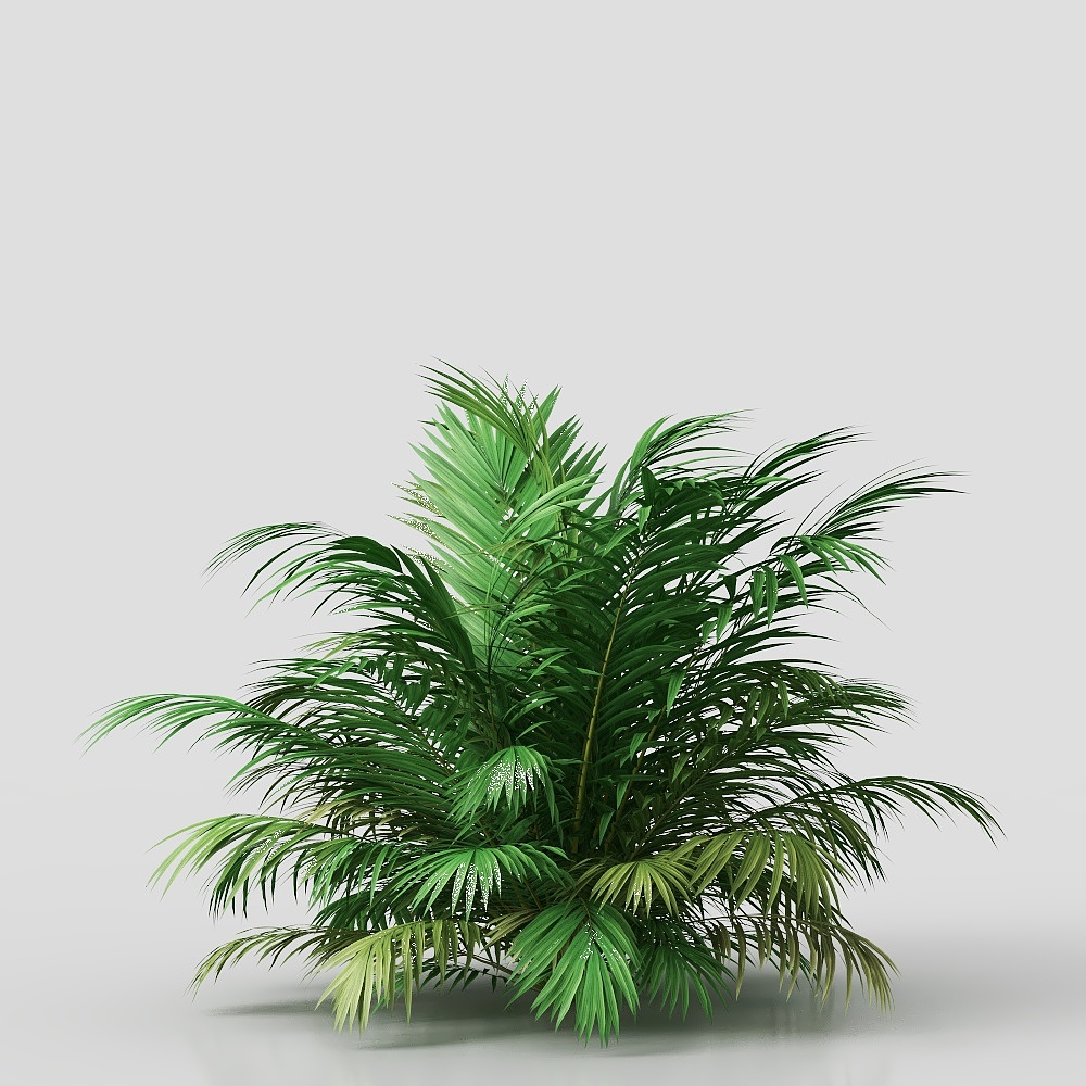 现代植物