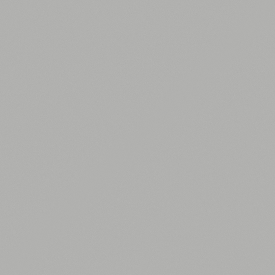 Baibin Paint in Gray for Modern Interiors
