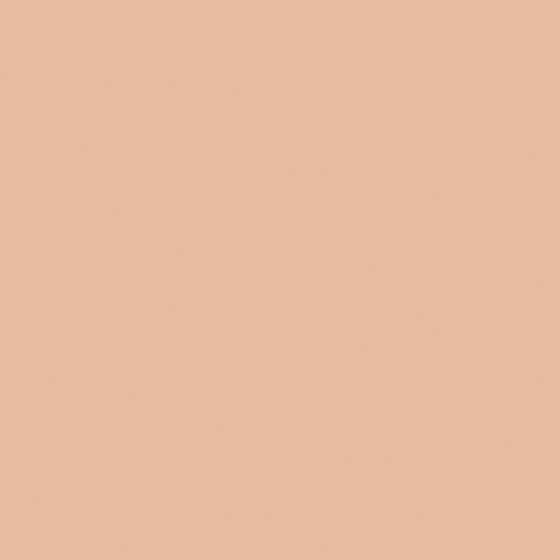 Earth Color Baibin Paint 3D Model