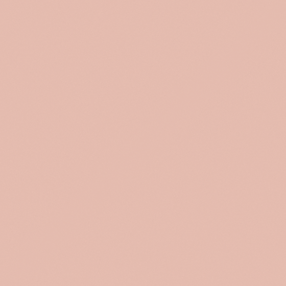 Baibin Paint 3D Model in Earth Color