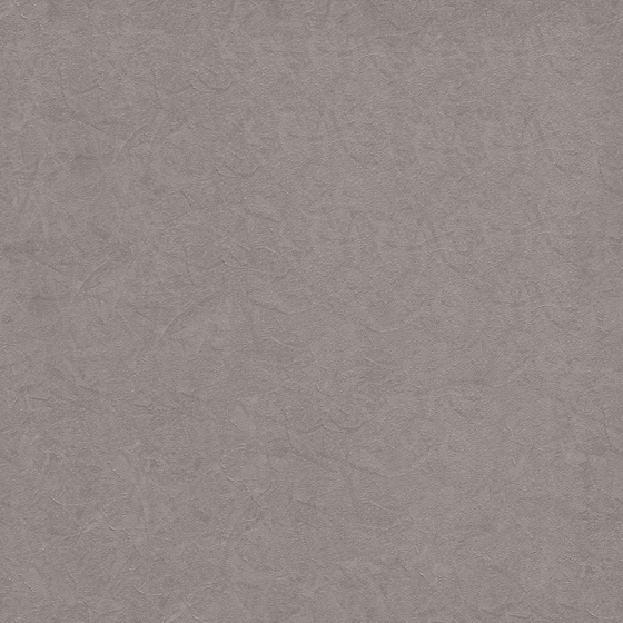 Gray Putola Silk-Pearl Silk Wall Paint
