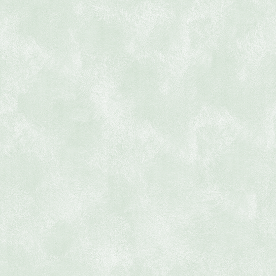 Wall paints/coatings