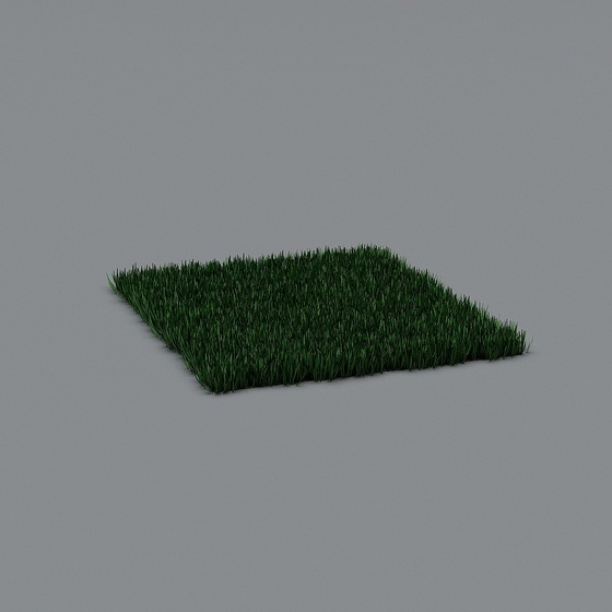 Grass