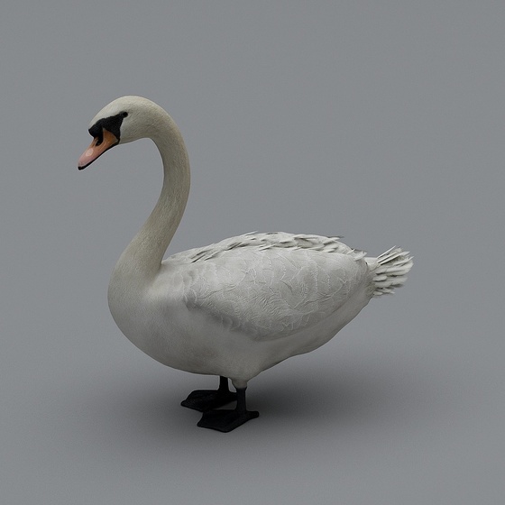 Animal 3D Model for Character Design