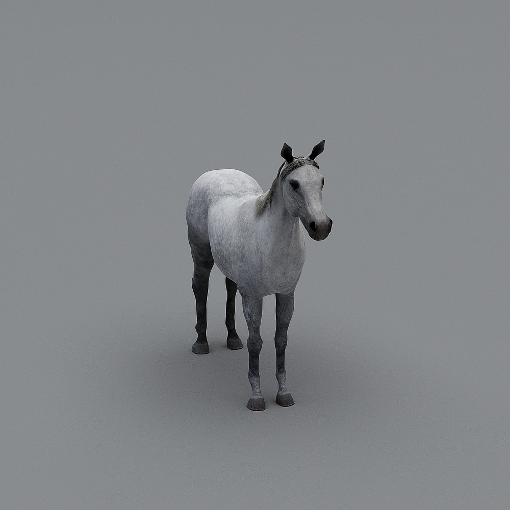 动物 3d模型下载 (17)