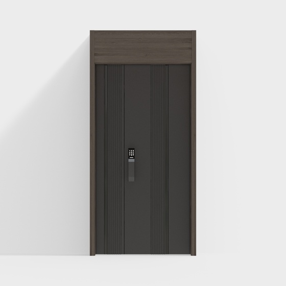 Contemporary Exterior Doors,Gray
