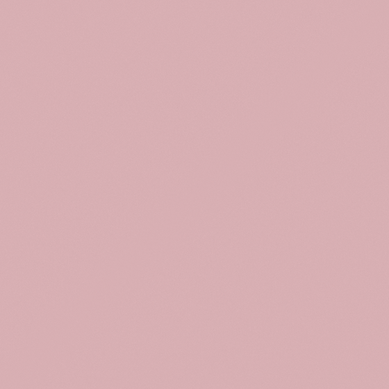 Earth Color Wall Paints/Coatings 3D Model