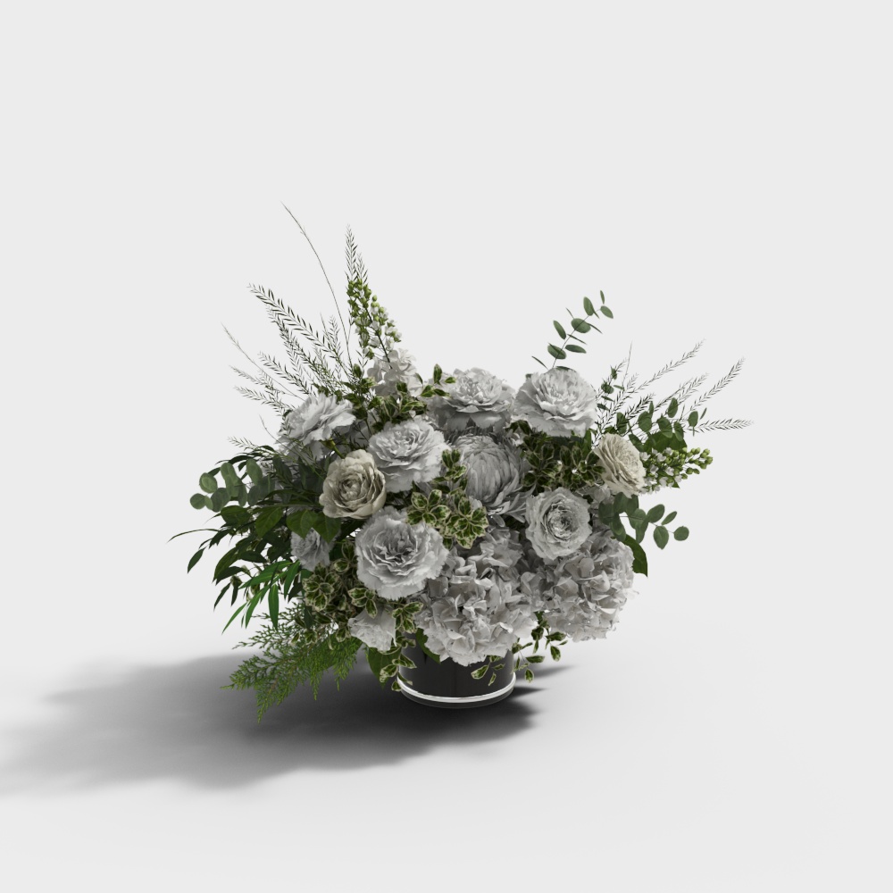 室内花卉5