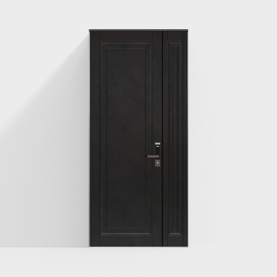 Contemporary Exterior Doors,Black