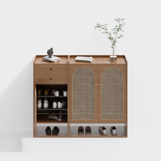 Scandinavian Shoe Cabinets,brown