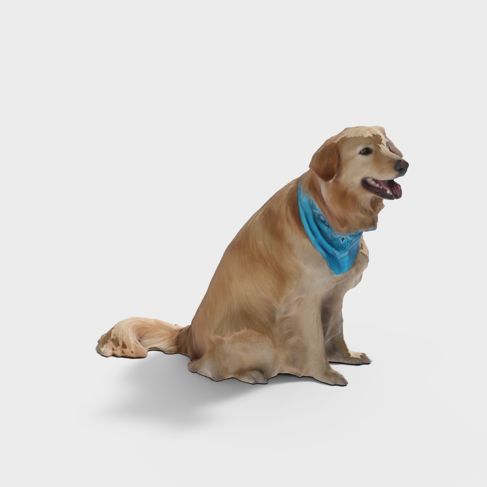 狗