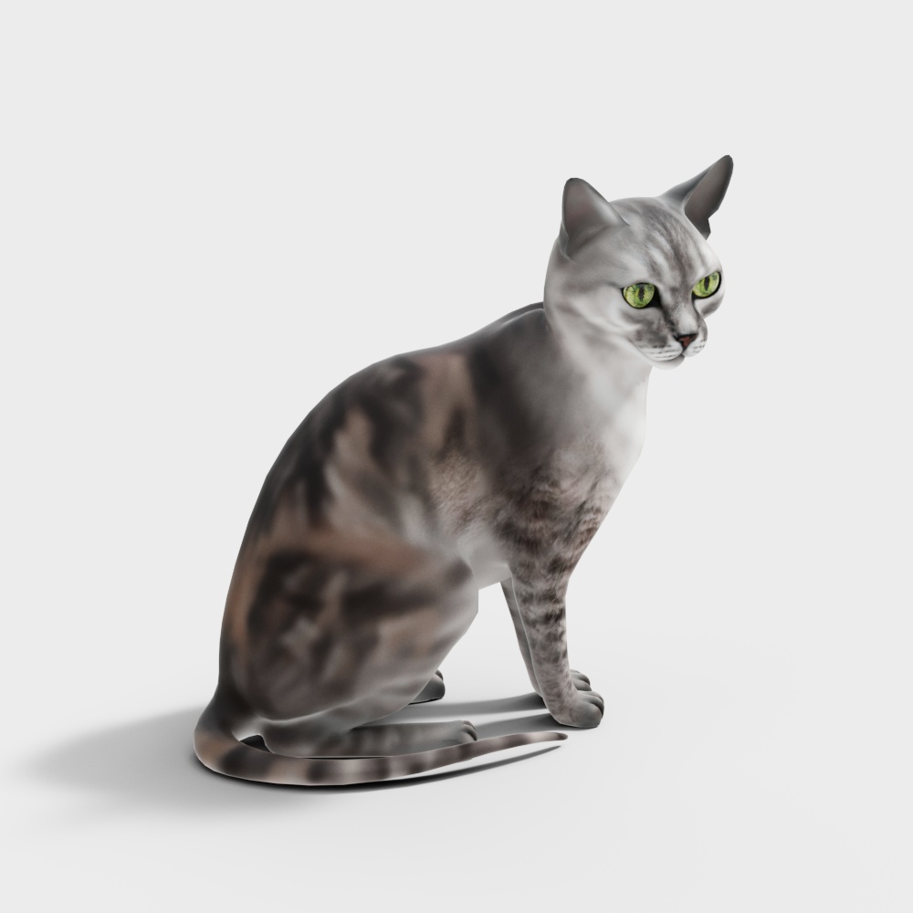 猫