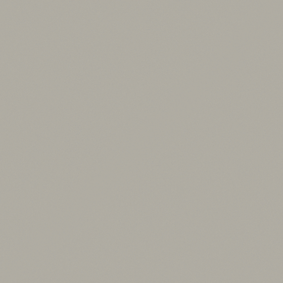 Wall paint/paint