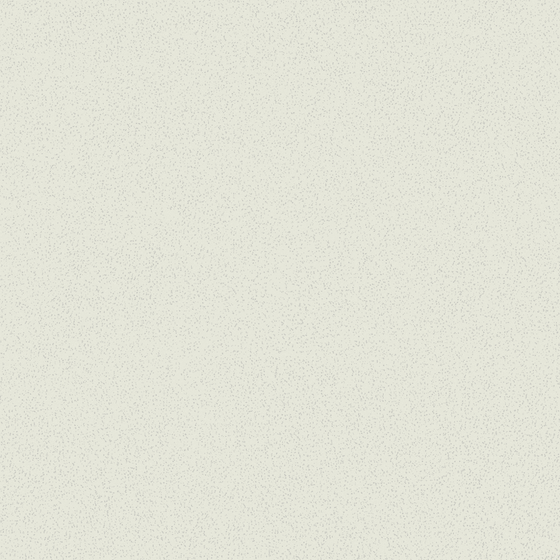 Wall paint/paint