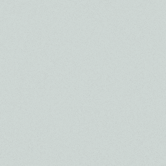Wall paint/paint