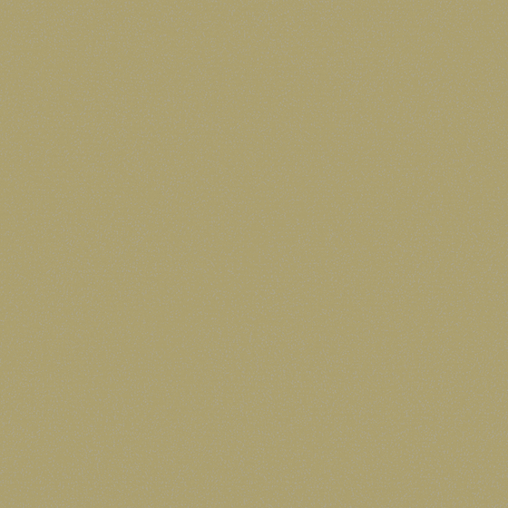 Wall paint/paint