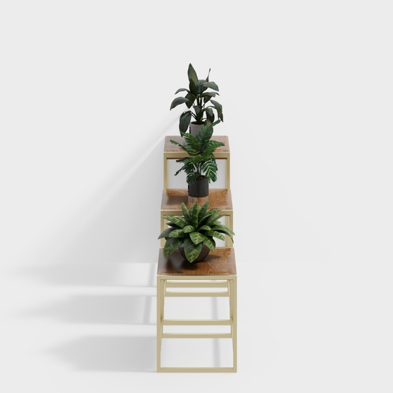 Scandinavian Plant Stands,wood color