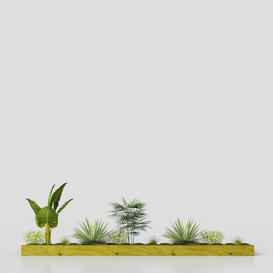 Asian Plants,Plants,green