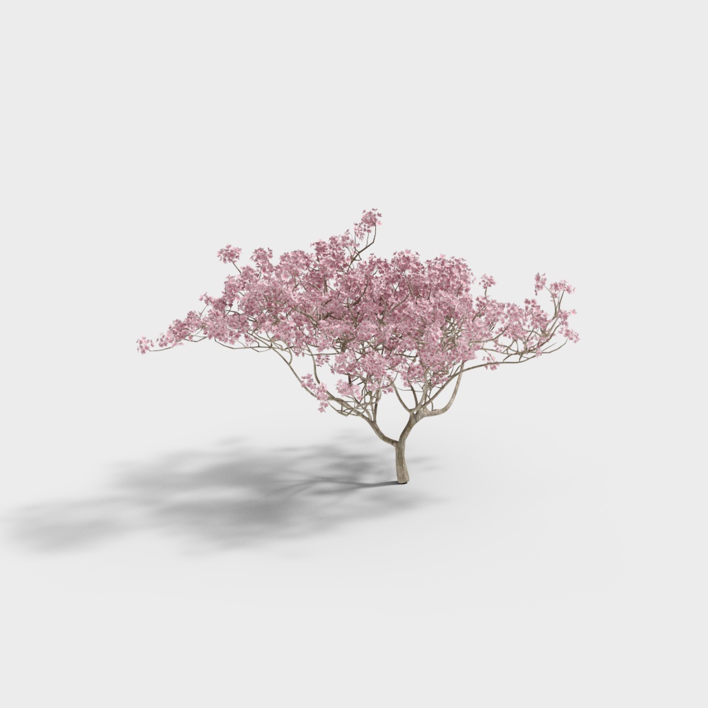 现代树-桃树