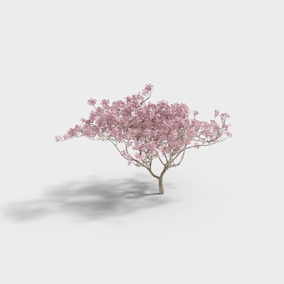 Modern Tree-Peach Tree