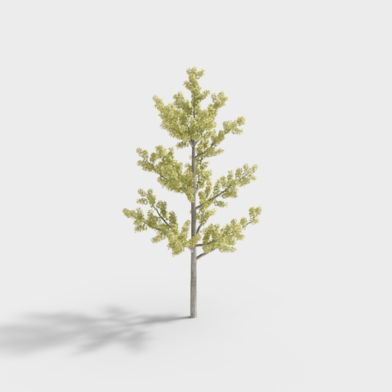 Modern tree-Ginkgo (less leaves)