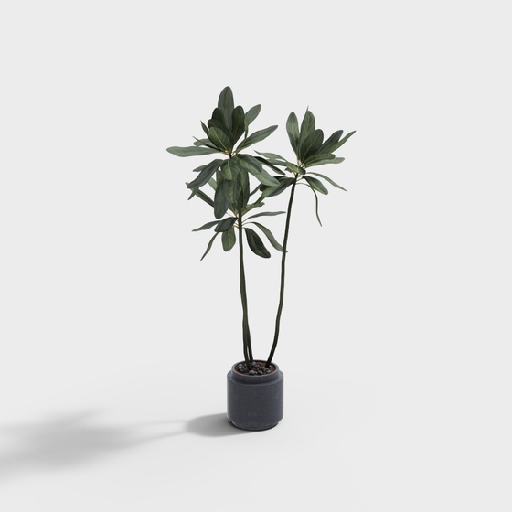 Modern green plant pot combination-three-branch tree combination