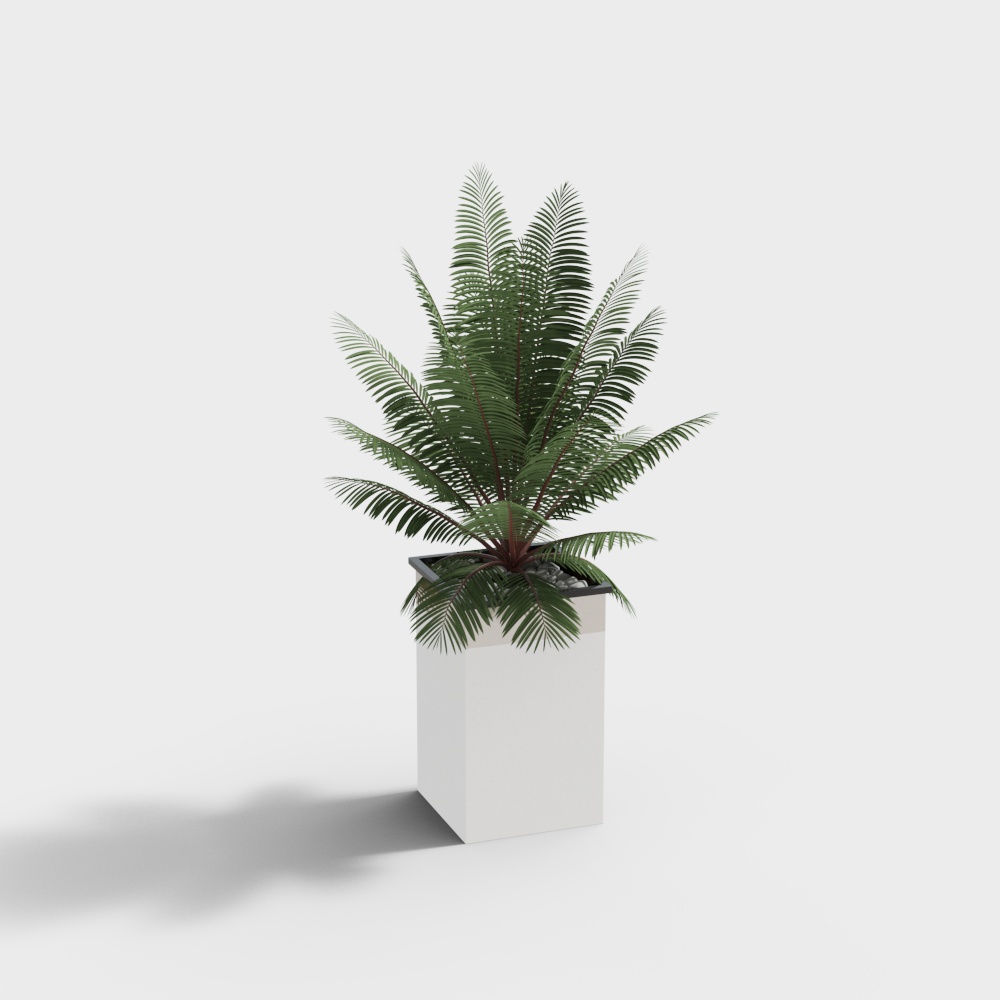 现代绿植堆盆栽-铁树3D模型