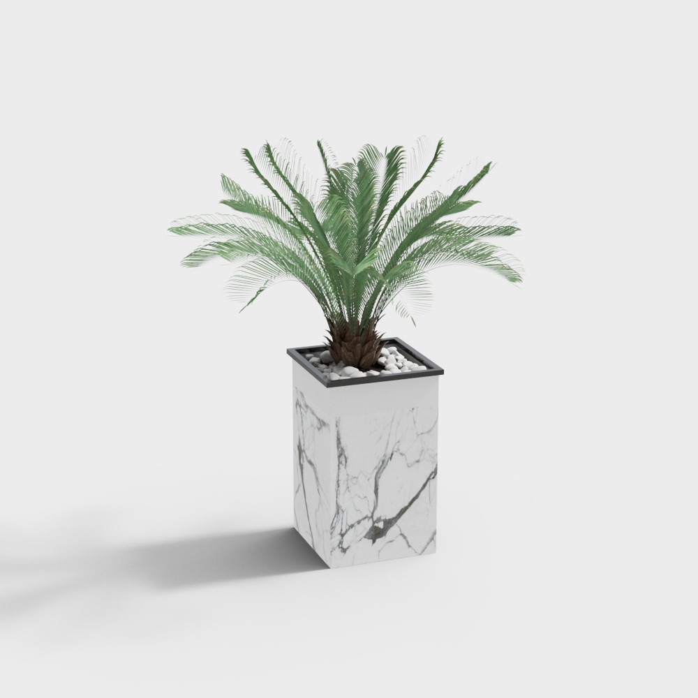 现代绿植堆盆栽-大铁树