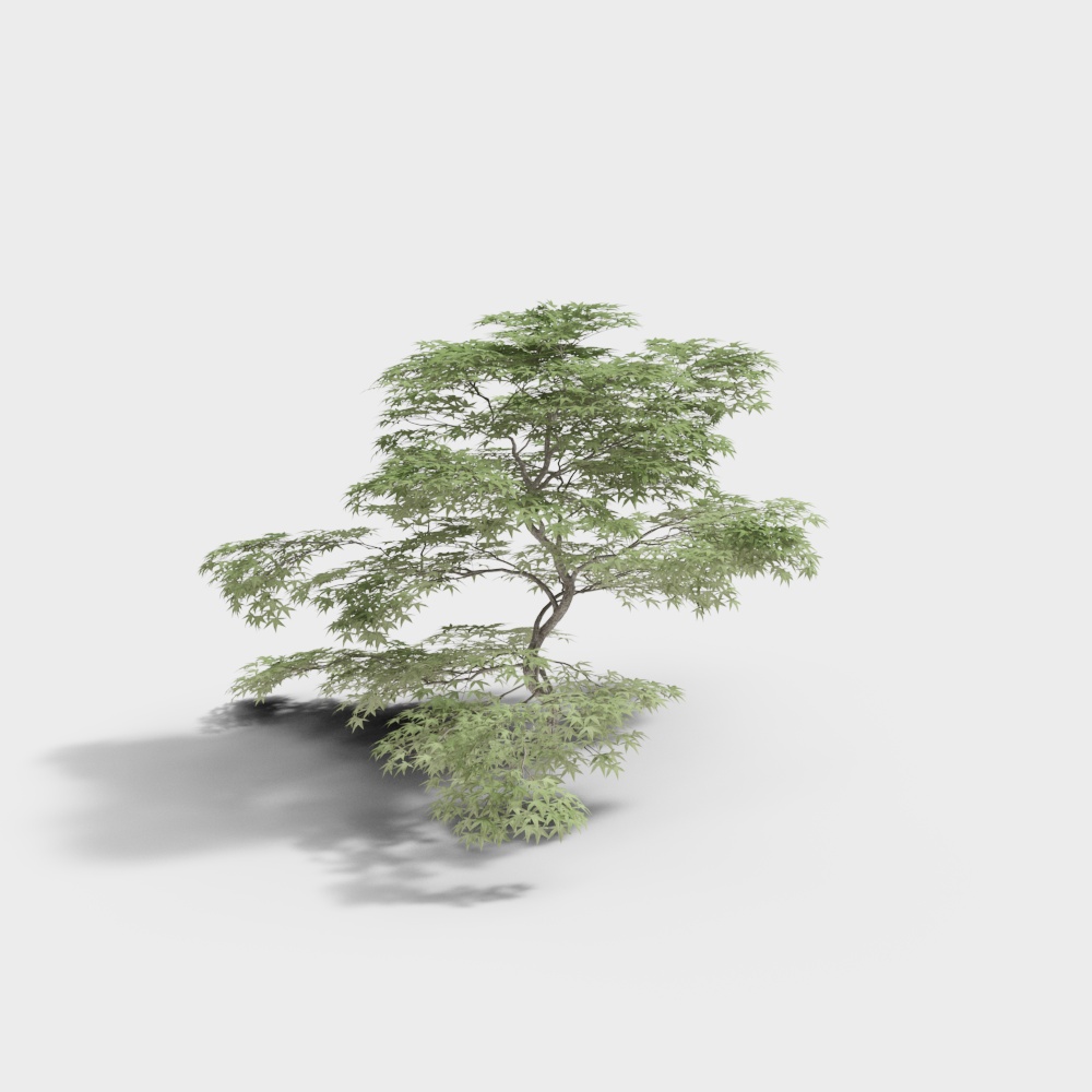 新中式庭院景观小品 2-松树23D模型