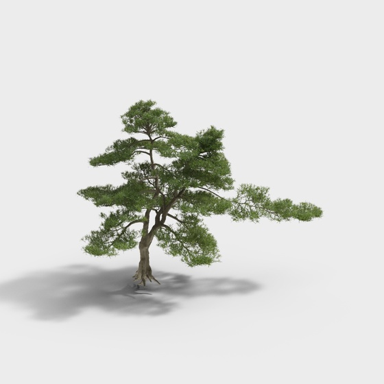 New Chinese style garden rockery-2-pine tree ornaments