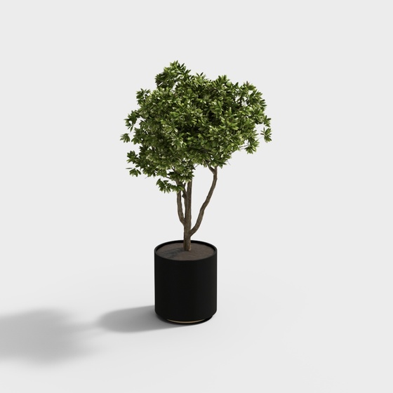 Modern green plant potting combination-single tree