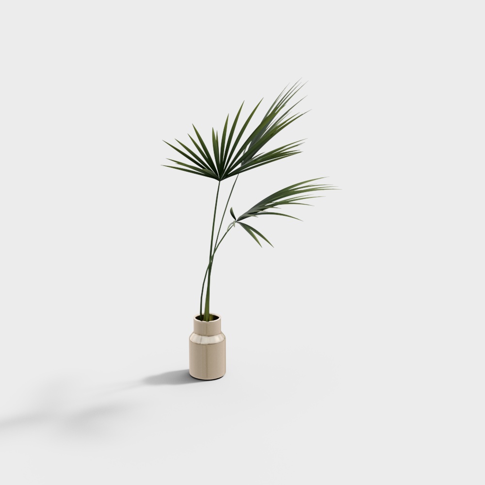 现代植物盆栽-矮树3D模型