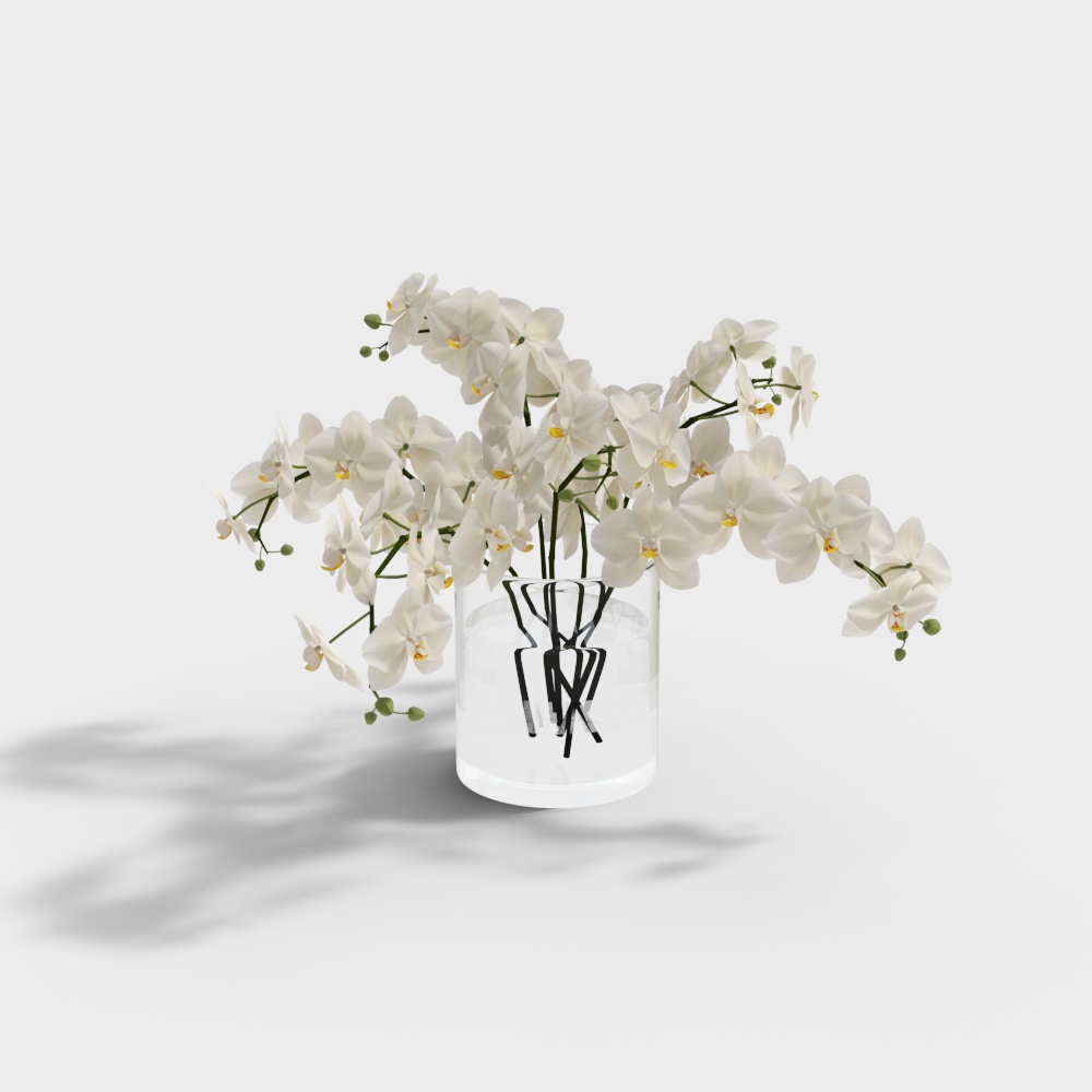 现代牙科诊所诊室-装饰植物3D模型