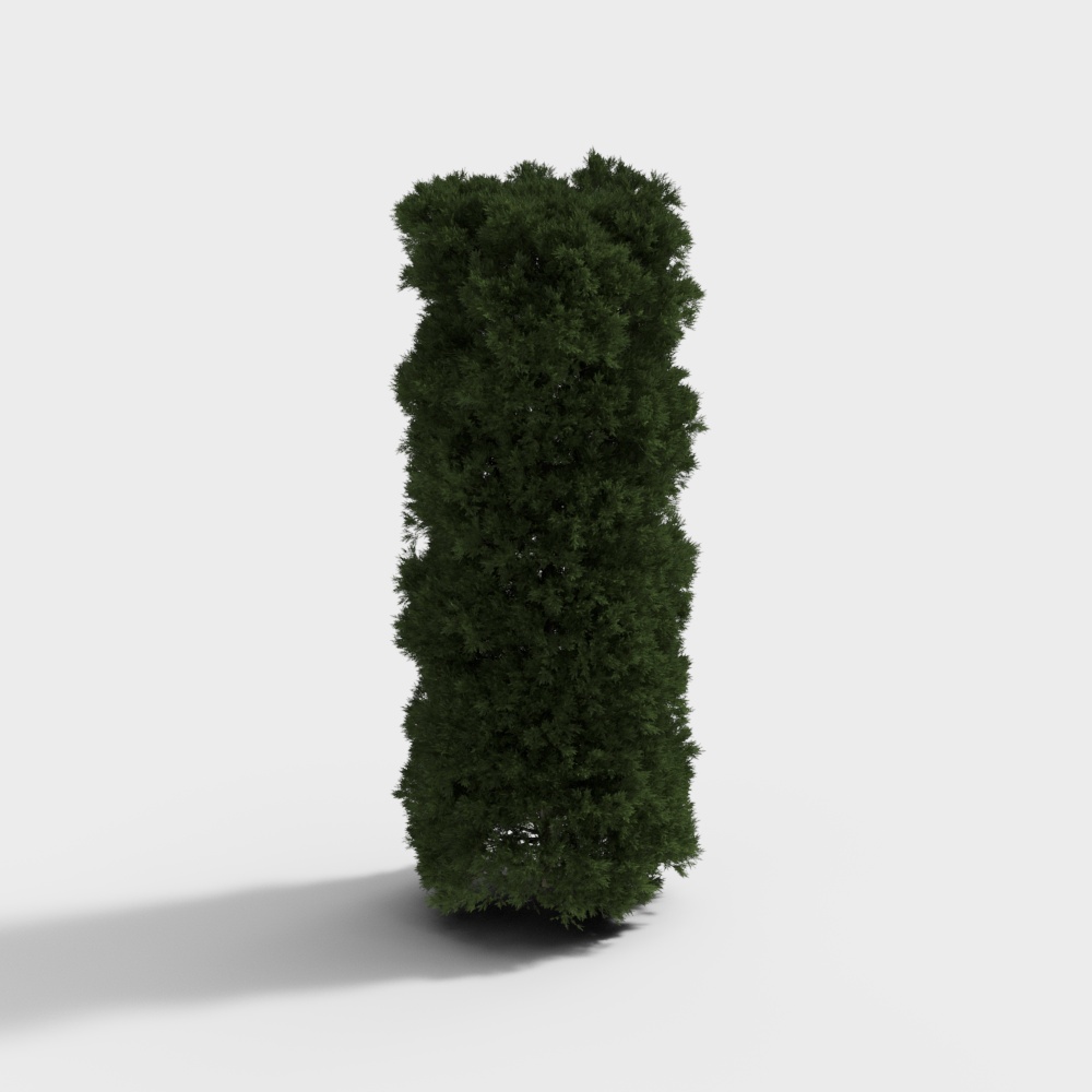 现代绿植灌木-灌木