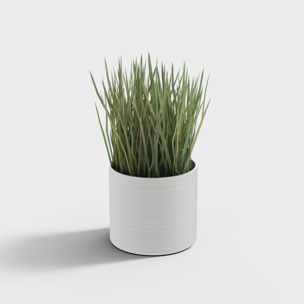 绿植摆件