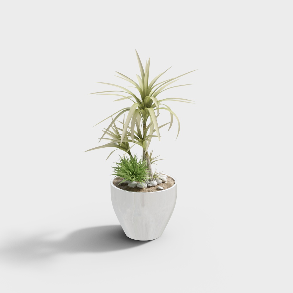 绿植摆件-3