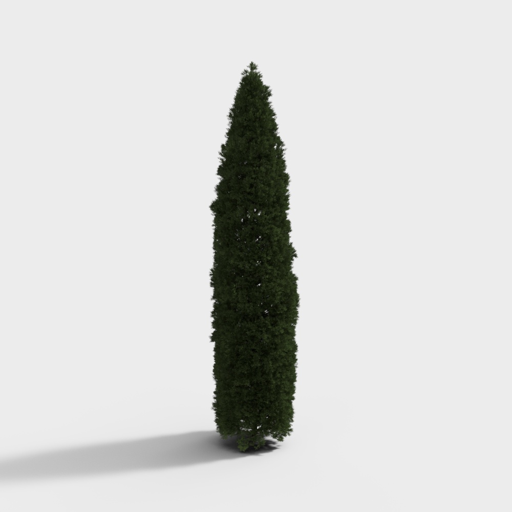 现代绿植灌木-灌木3D模型