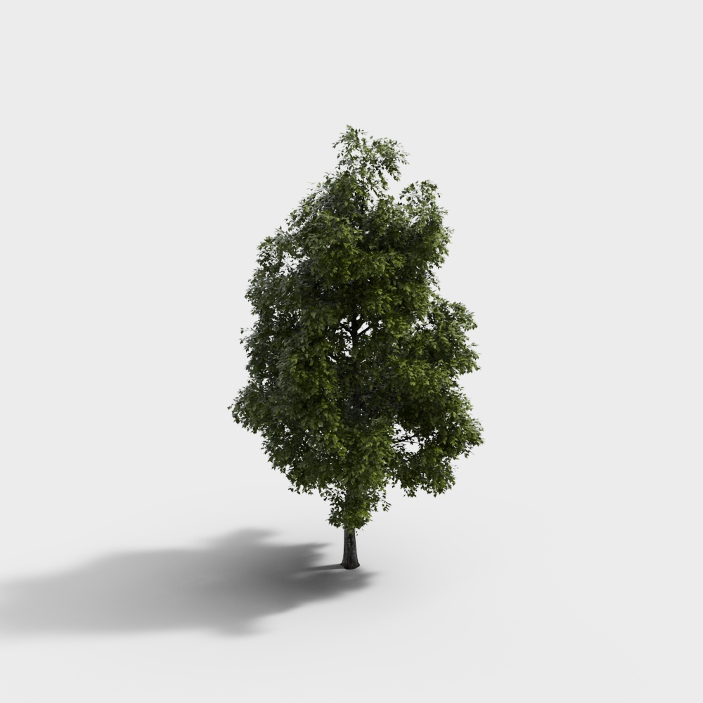 现代绿植景观树