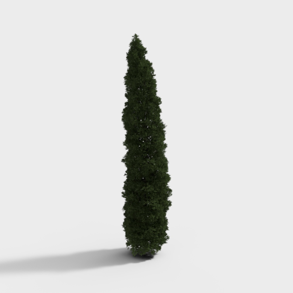 现代绿植灌木-灌木3D模型
