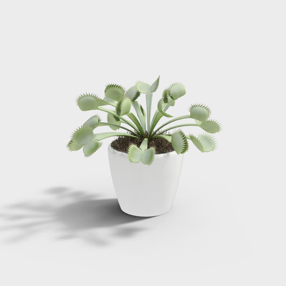 绿植摆件-13D模型