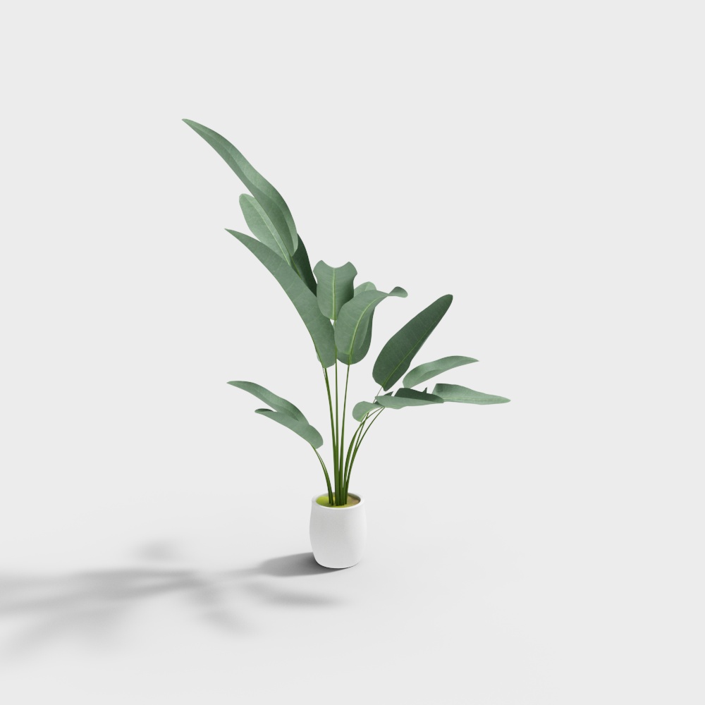 北欧绿植景观植物灌木组合-绿植