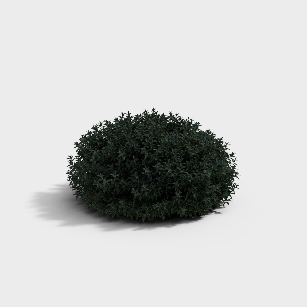 现代绿植绿篱灌木-灌木