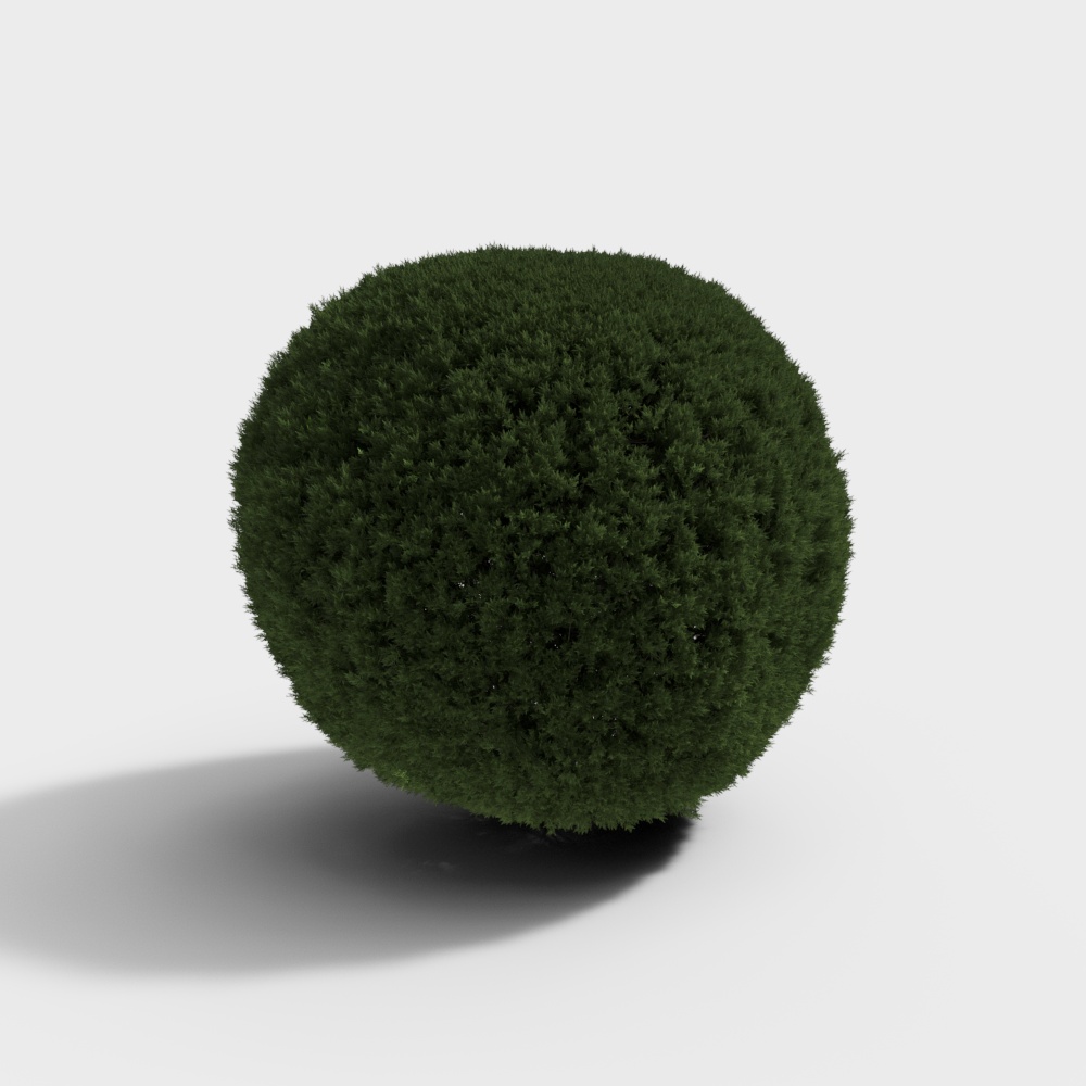 现代绿植灌木