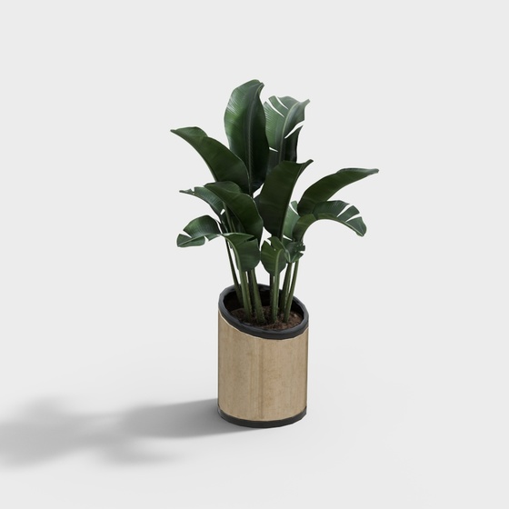 Modern style plant and green plant ornaments