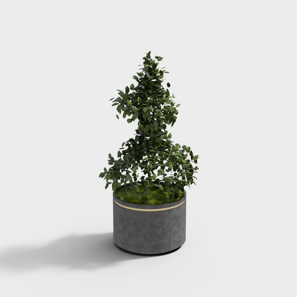 现代绿植盆栽-绿色植物