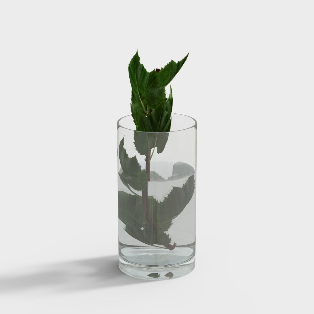 现代绿植-绿叶3D模型